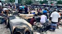 Leather industry crisis continues despite export decision